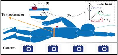 Swimming Phase-Based Performance Evaluation Using a Single IMU in Main Swimming Techniques